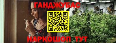 мдпв Гусь-Хрустальный